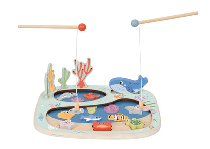 Rockpool Fishing and Balance Game