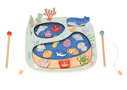 Rockpool Fishing and Balance Game